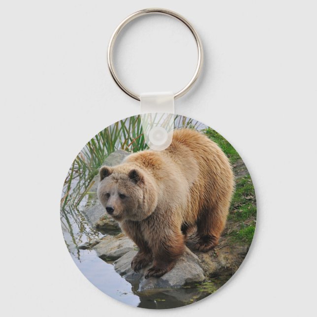 Grizzly Bear Wildlife Animal Photograph Keychain (Front)
