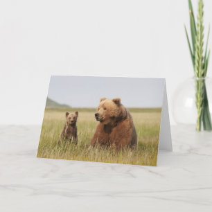 Grizzly Bear with Cub Card