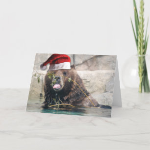 Grizzly Bear with Santa Hat Holiday Card