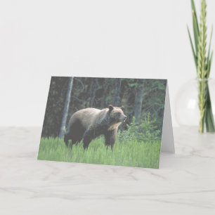 Grizzly Bear Woods Card