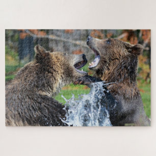 Grizzly Bears Combattez Jigsaw Puzzle