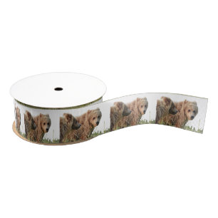 grizzly bears grosgrain ribbon