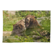 Grizzly Bears Play Fighting