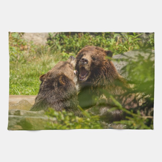 Grizzly Bears Play Fighting Kitchen Towel (Horizontal)