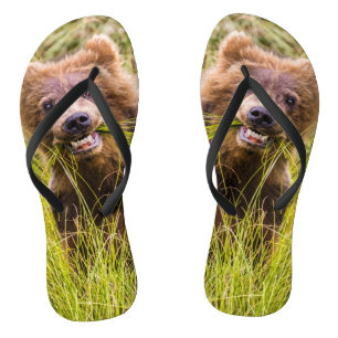 Grizzly cub grazing, Alaska Flip Flops