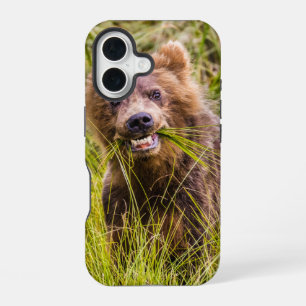 Grizzly cub grazing, Alaska iPhone 16 Case