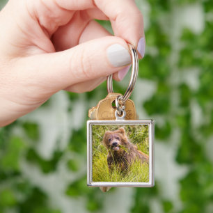 Grizzly cub grazing, Alaska Keychain