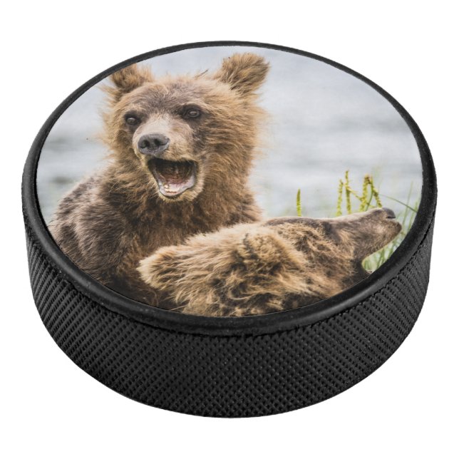Grizzly Cubs Looking For Their Mum Hockey Puck (3/4)