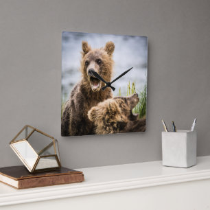 Grizzly Cubs Looking For Their Mum Square Wall Clock