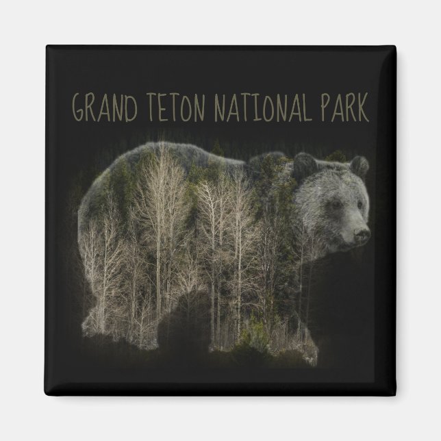 Grizzly Forest Grand Teton National Park Magnet (Front)