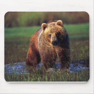 GRIZZLY IN WATER MOUSEPAD