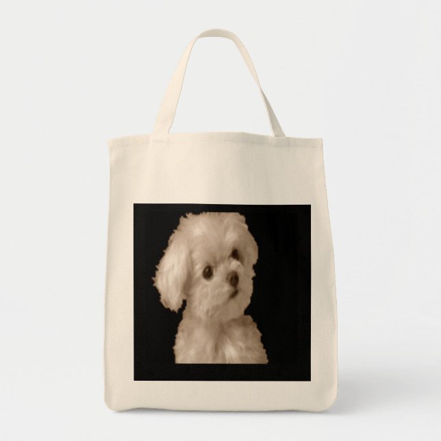 Grocery Bag Tote (Front)