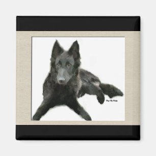 Groenendael Belgian Sheepdog Gifts Magnet