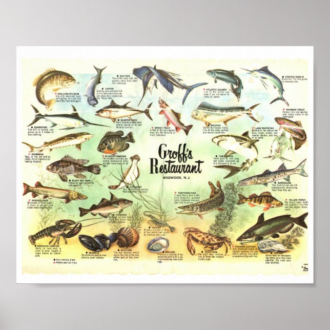 Groffs placemat 8x10 poster (Front)