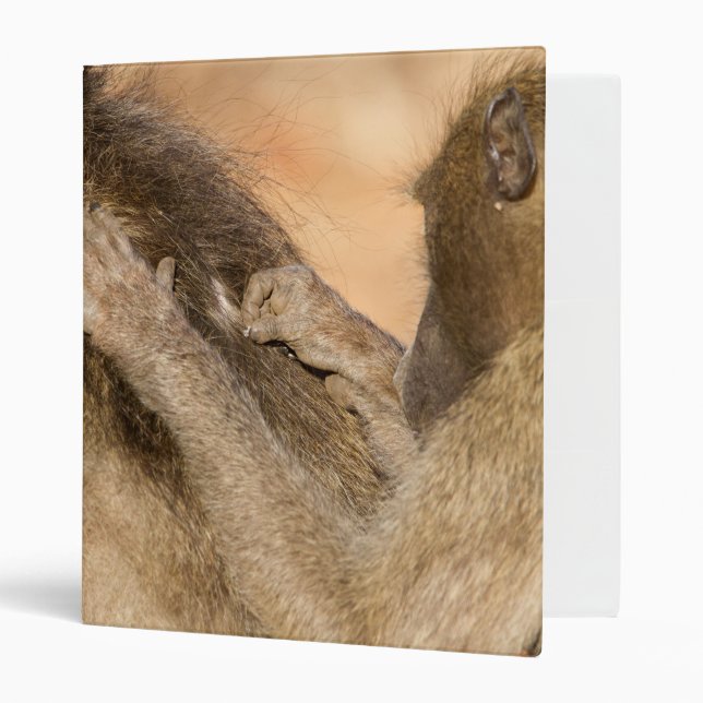 Grooming baboons binder (Front/Inside)