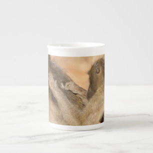 Grooming baboons bone china mug