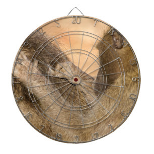 Grooming baboons dartboard