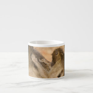 Grooming baboons espresso cup