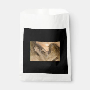 Grooming baboons favour bag