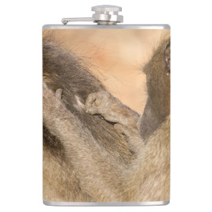 Grooming baboons hip flask