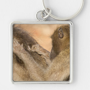 Grooming baboons keychain