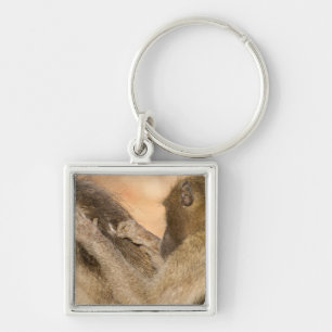 Grooming baboons keychain