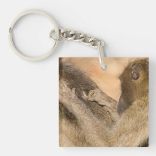 Grooming baboons keychain