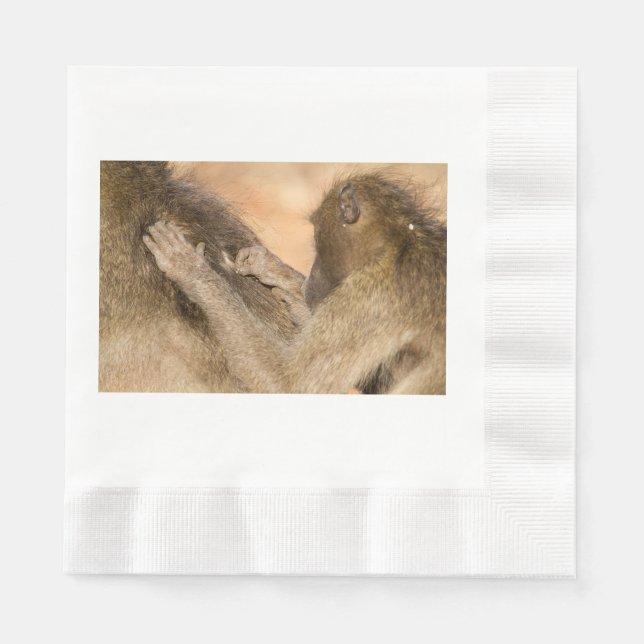 Grooming baboons napkin (Front)