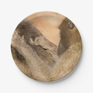 Grooming baboons paper plate