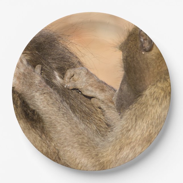 Grooming baboons paper plate (Front)