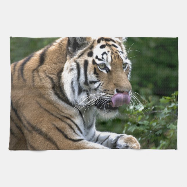 Grooming Tiger Kitchen Towel (Horizontal)