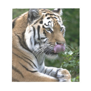 Grooming Tiger Notepad