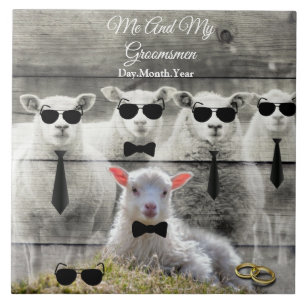 Groomsmen Sheep Flock Baby Lamb Tile