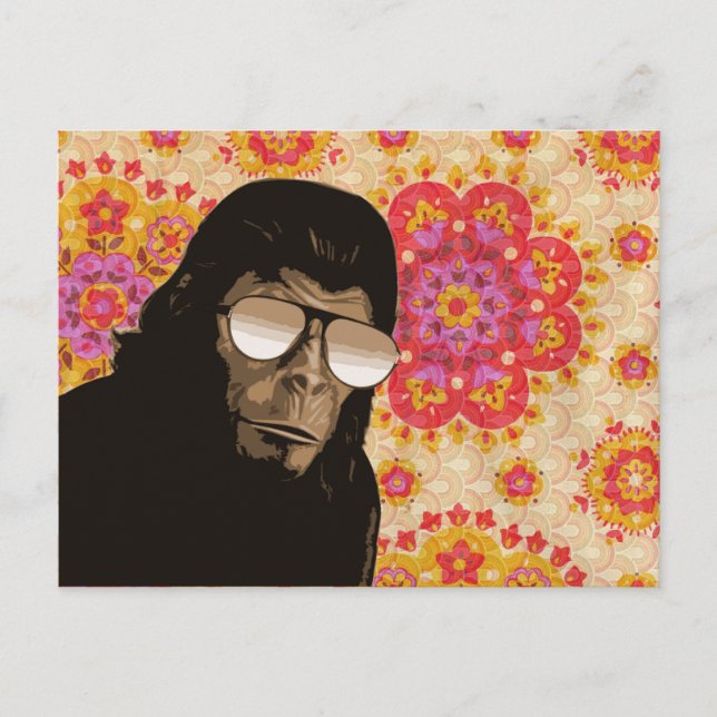 Groovy Caesar Postcard (Front)