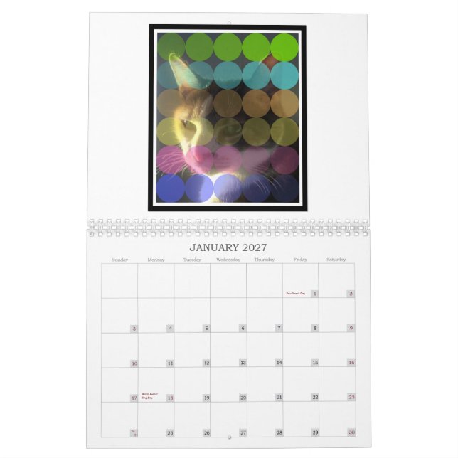 Groovy Pup 2013 Cat Art Calendar (Jan 2027)