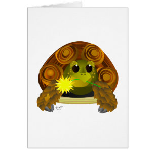 Groovy Tortoise