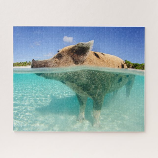 Gros cochon maman dans le puzzle d'eau (Horizontal)
