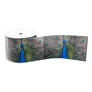 Gros-grain 020 Ruban Peacock