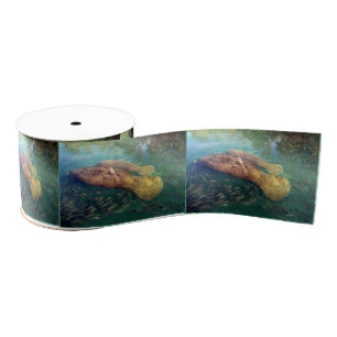 Gros-grain Ruban de lamantin de mamans et de bébé