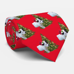 Gros Noël de chiot, Cravate