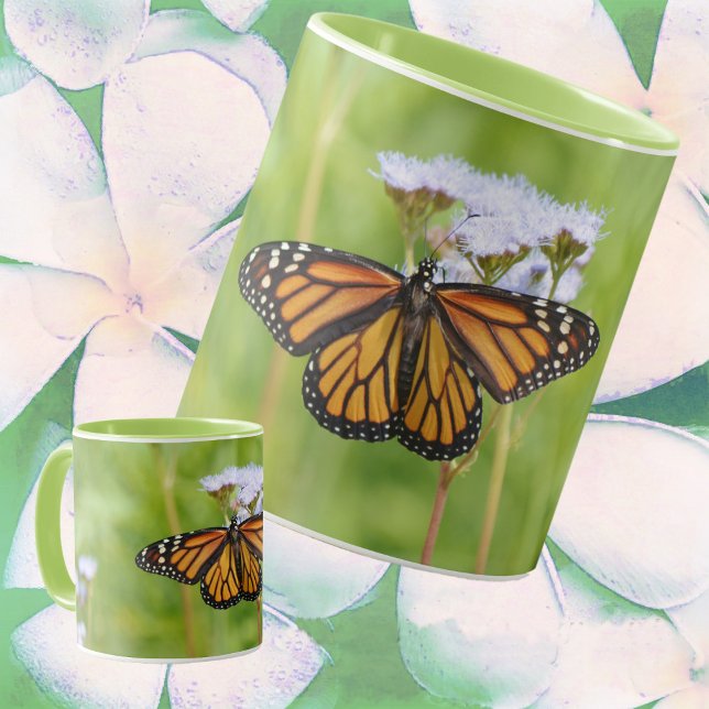 Gros papillon Monarque sur Mug Nature Fleur sauvag (Monarch Butterfly on Wildflowers Art Mug.)