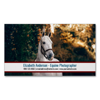 Gros Photo Equine Photographe Magnet Carte de visi