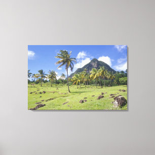 Gros Piton view along the historic trail in Canvas Print