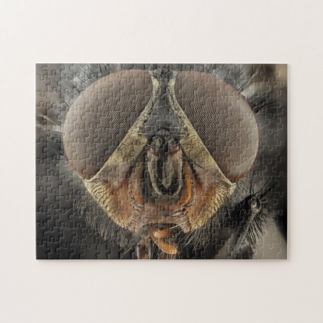 Gros plan des yeux Insectes Puzzle photo (Horizontal)