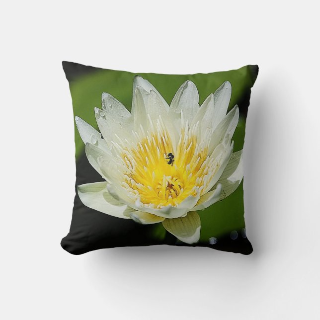Gros plan Fleur Lily d'eau blanche et Coussin d'ab (Recto)