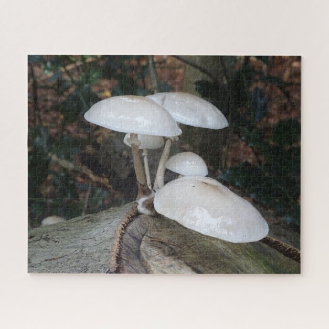 Gros plan Puzzle : Champignons de Porcelaine migno (Horizontal)