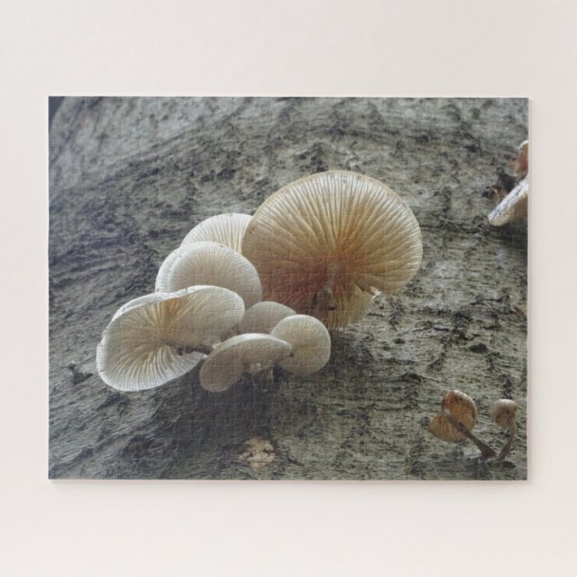 Gros plan Puzzle : Champignons de porcelaine sur a (Horizontal)