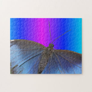Gros plan Puzzle : Papillon bleu Morpho