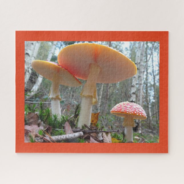 Gros plan Puzzle : Volez Amanitas avec la poussièr (Horizontal)