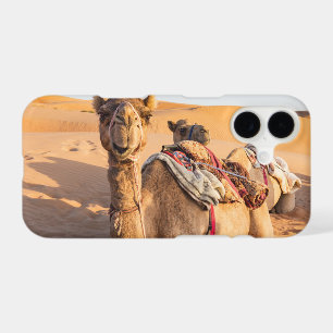 Gros plan sur Camel dans le désert d'Oman